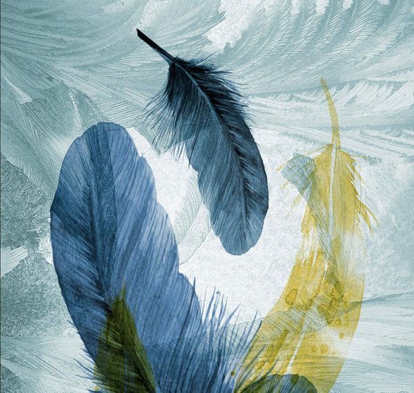 Blue Feather Canvas Framed Wall Art FR-1361