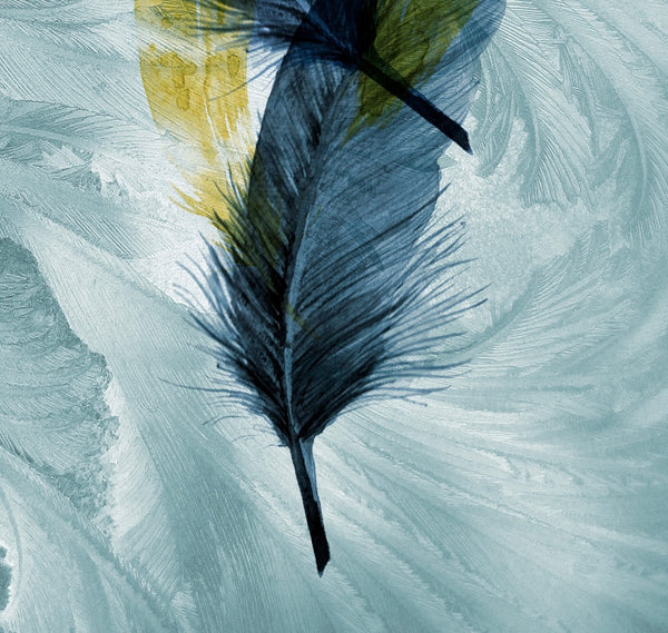 Blue Feather Canvas Framed Wall Art FR-1361